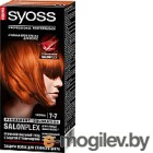 -   Syoss Salonplex Permanent Coloration 7-7 ()