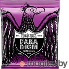    Ernie Ball 2020