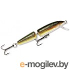  Rapala Jointed / J13-TR