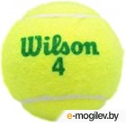    Wilson Starter Green Play / WRT137400 (4)