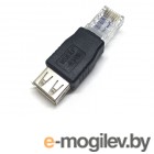 USB A/B/Micro/Mini/Type-C Espada RJ45 Male - USB Female ERJM20F