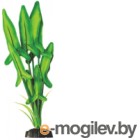    Barbus   / Plant 035/30 ()