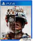     Sony PlayStation 4 Call of Duty: Black Ops Cold War