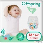-  Offspring M 6-11  / OF02MA (42)