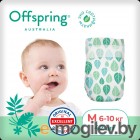   Offspring M 6-10  / OF01M42L (42)
