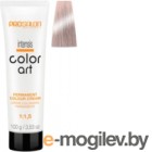 -   Prosalon Professional Color art Permanent colour cream 10/12 (100,    )