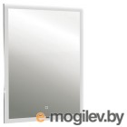  Silver Mirrors  50x70 / LED-00002584
