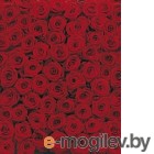 Фотообои Komar Roses 4-077 (194x270)