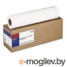 Бумага Epson Water Resistant Matte Canvas 17x12,2 м холст (C13S042013)