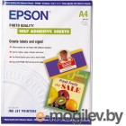 Epson C13S041106
