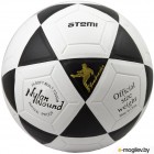 Футбольный мяч Atemi Goal (размер 5, белый/черный)