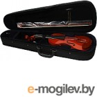 Скрипка Aileen VG-200 4/4 со смычком в футляре (натуральная)