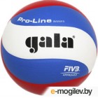 Мяч волейбольный Gala Sport Pro-Line 10 FIVB / BV5591S (размер 5, белый/голубой/красный)