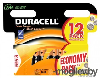 Батарейки Duracell Basic LR03-12BL