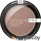    Relouis Pro Sculpting Powder Universal  01