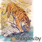 Набор алмазной вышивки Алмазная живопись Тигр у реки / АЖ-1523