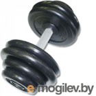  MB Barbell  38.5