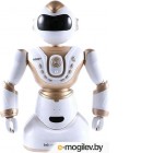 Радиоуправляемая игрушка MZ Робот / 2850