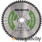   Hilberg HW301