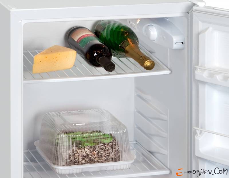 Почему в домашние холодильники рекомендуют помещать. Холодильник Норд 507-011. Корпус холодильника. Холодильник без электричества. Мини холодильник мощность.