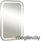  Silver Mirrors  55x80 / -00001217