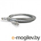    .  Patch cord Lanmaster TWT-45-45-2.0/S6-GY 2 FTP Cat 6 Grey