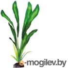    Barbus   / Plant 046/30 ()