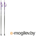 Палки для скандинавской ходьбы STC Extreme (115см, фиолетовый)