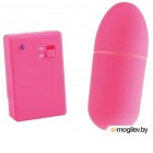  Pipedream Neon Luv Touch Remote Control Bullet Pink / PD2674-11