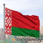 Украшения тематические Еврофлаг ФО021 Беларусь