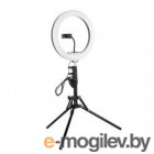 Комплект оборудования для фотостудии Falcon Eyes BloggerKit 20 Mic для видеосъемки / 28448