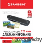    Brauberg 5 125 / 530899 (100)