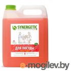    .     Synergetic  5L 4623722258304