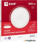  EKF Connect  300 24W / sclwf-300-cct