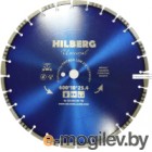    Hilberg HM709