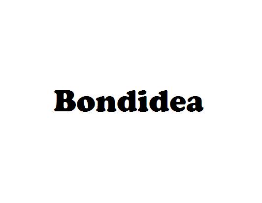 Bondidea
